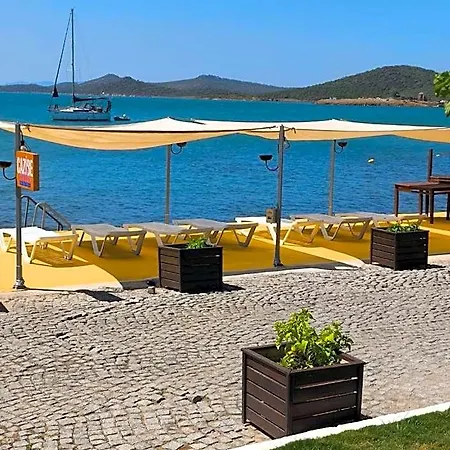 Deniz Ayvalik