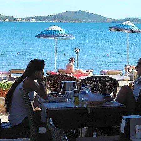 Deniz Ayvalı
