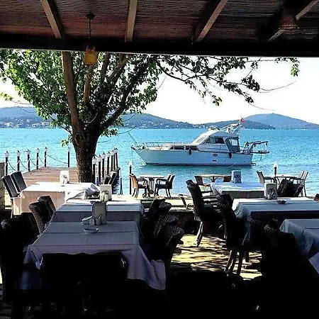 Deniz Ayvalı