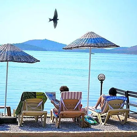 Deniz 3*