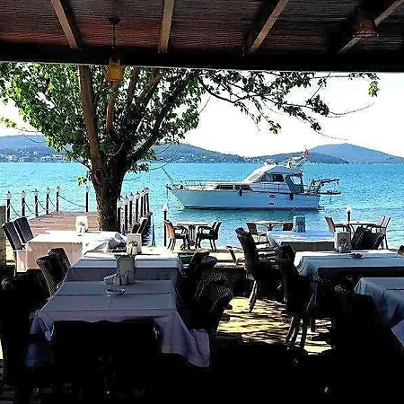 Deniz 3*